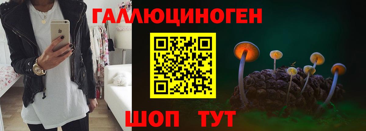 Псилоцибиновые грибы GOLDEN TEACHER  Псилоцибиновые грибы MAGIC MUSHROOMS  Вход с VPN  Менделеевск 